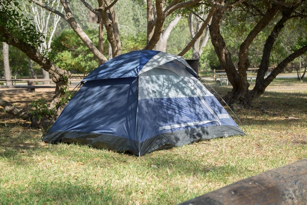 Avalon campsite best sale